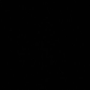 Meet your Posher, Finley